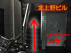 奥の階段を登ってください右手にはエレベーターもあります→